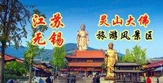 日日屄屄江苏无锡灵山大佛旅游风景区